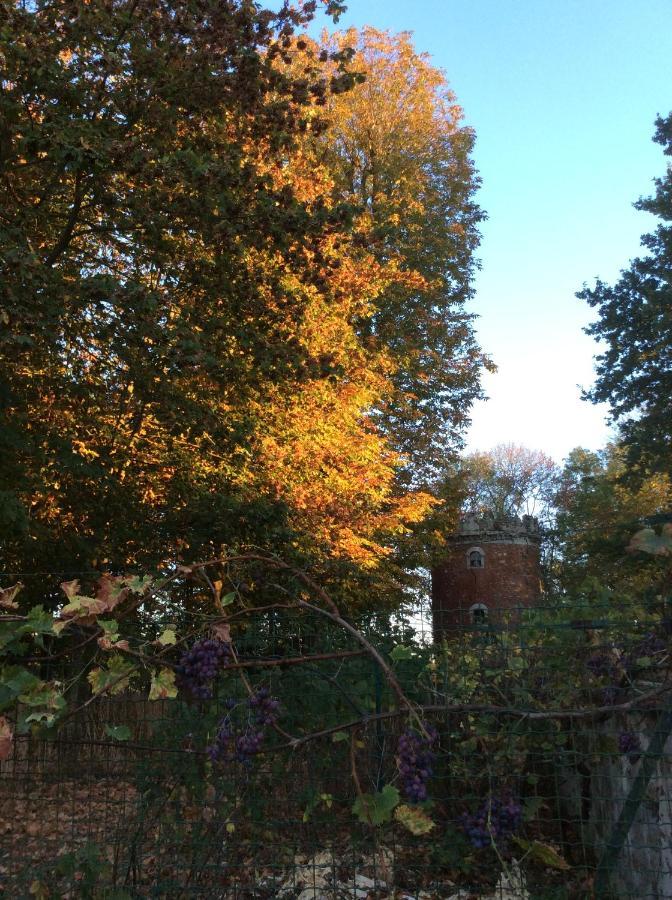 L'Orme Des Voyageurs Bed & Breakfast Boutigny ภายนอก รูปภาพ